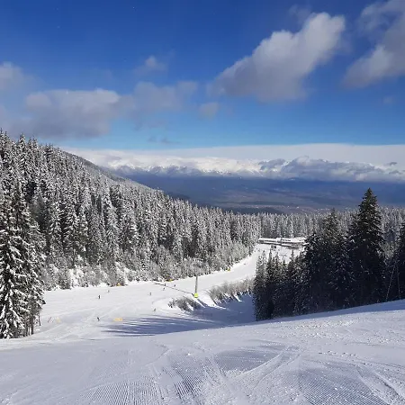 Apartment Monastery C39 *