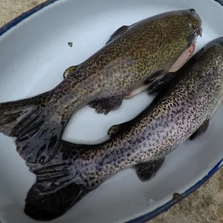 Monastery C39 Apartment Bansko