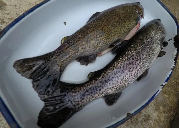 Monastery C39 Apartment Bansko